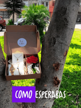 KIT 4 EN 1 DAMA GOLD